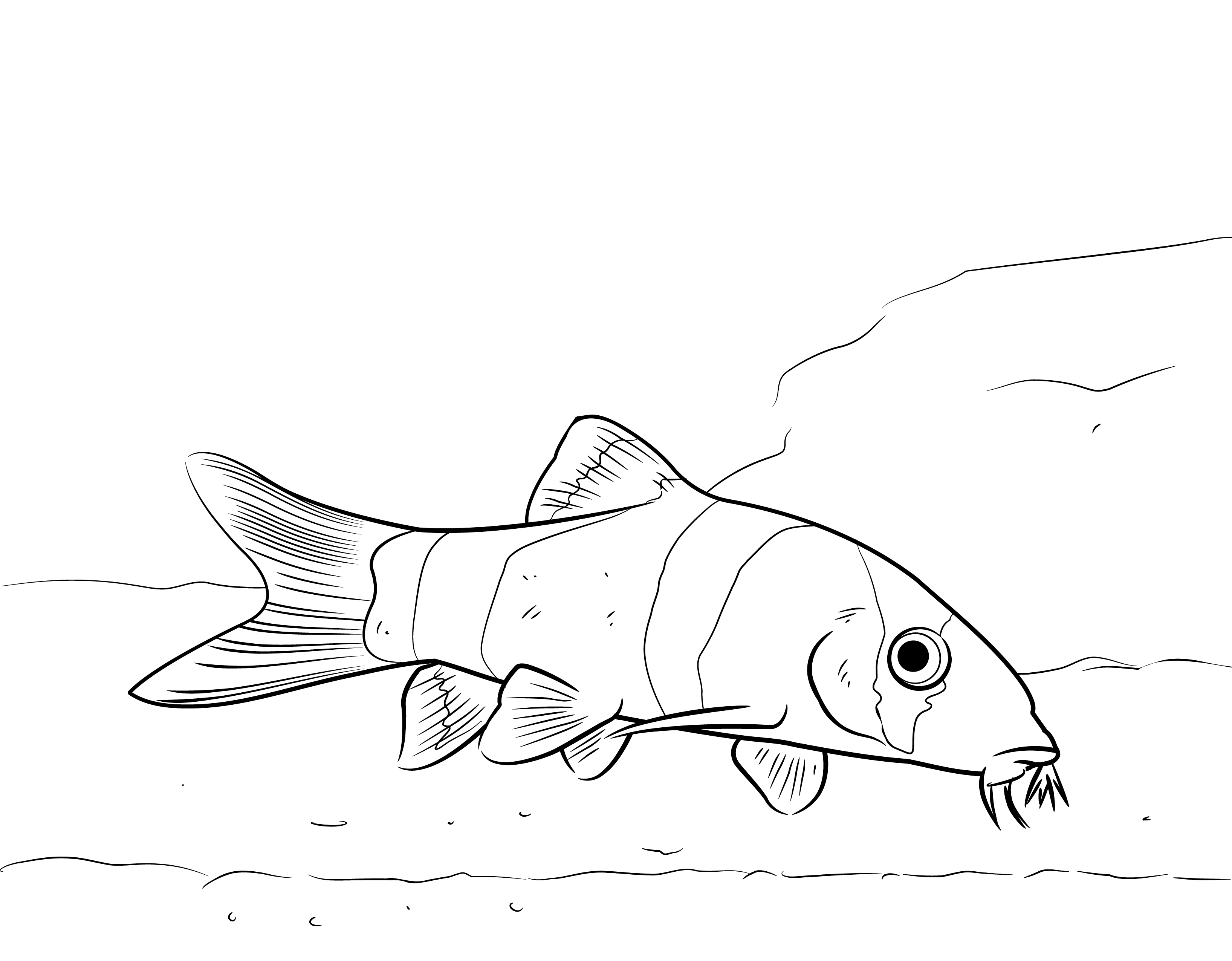 yellow tang coloring pages - photo #16